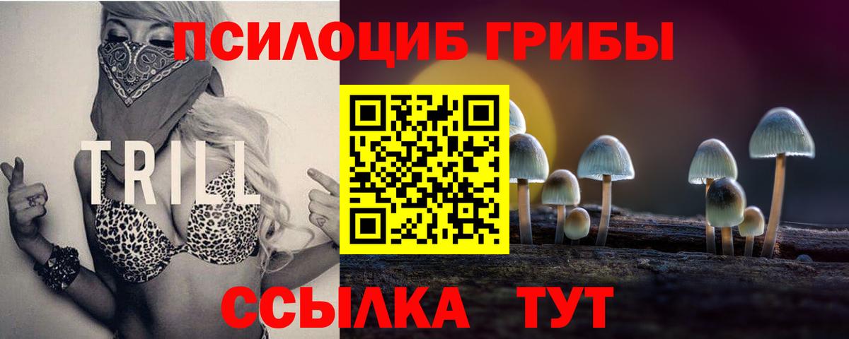 Людиново  Галлюциногенные грибы MAGIC MUSHROOMS  Вход с VPN 